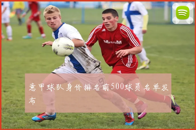 意甲球队身价排名前500球员名单发布