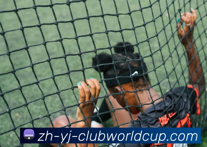 世界杯官网平台生态图