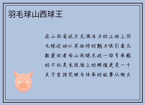 羽毛球山西球王