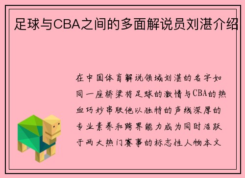 足球与CBA之间的多面解说员刘湛介绍