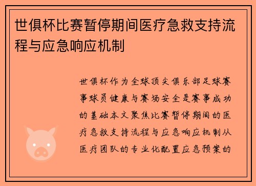 世俱杯比赛暂停期间医疗急救支持流程与应急响应机制